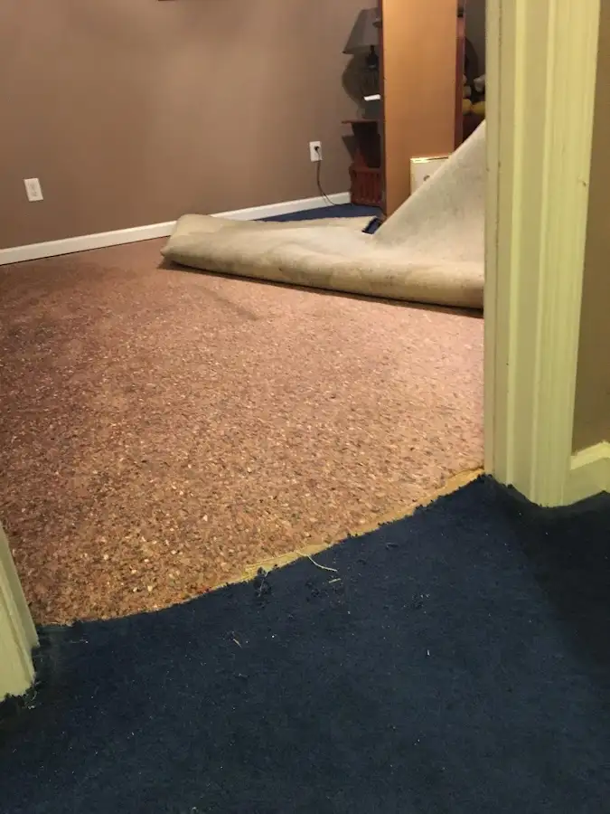 Carpet pad removal revealing water damage during Water Mitigation Services in Millbrook