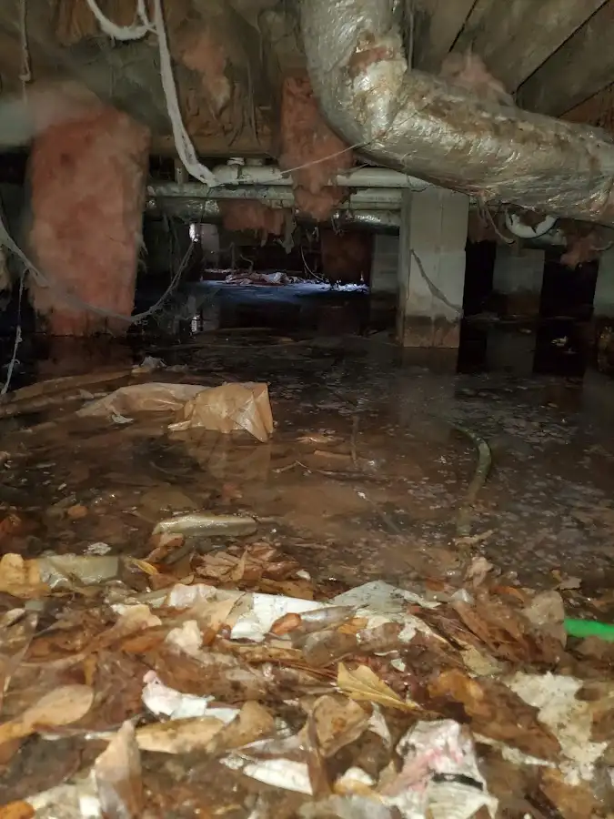 Crawl space flood assessment for Leak Detection & Repair in Millbrook