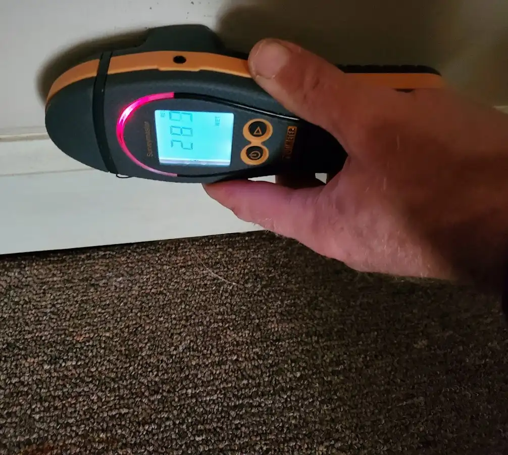 Moisture detection at baseboard during Burst Pipe Cleanup in Millbrook