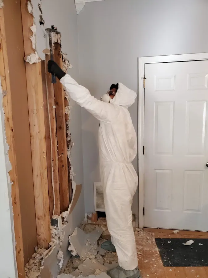 Water Damage Restoration services in Millbrook, AL